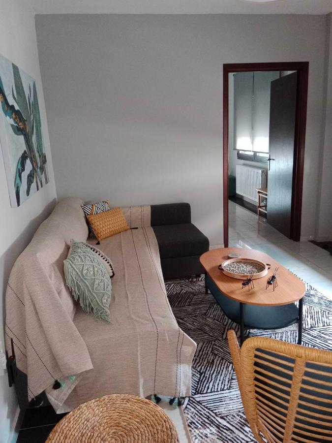 Central Lodge Kalampáka Ngoại thất bức ảnh
